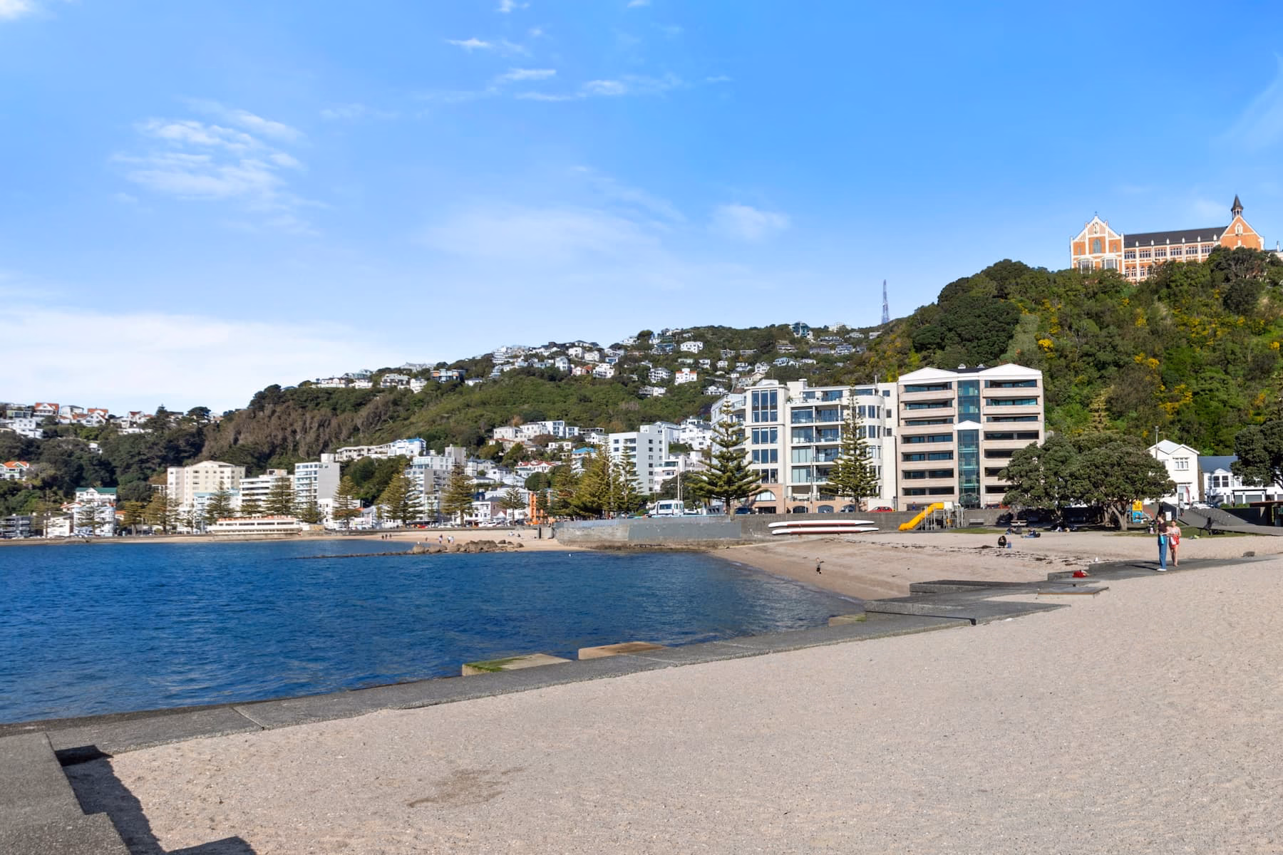 Beach view of Wellington